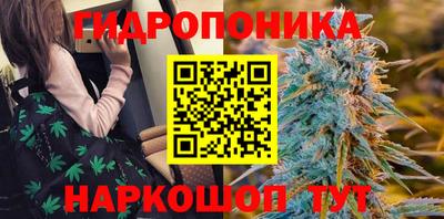 мяу мяу мука Брянск