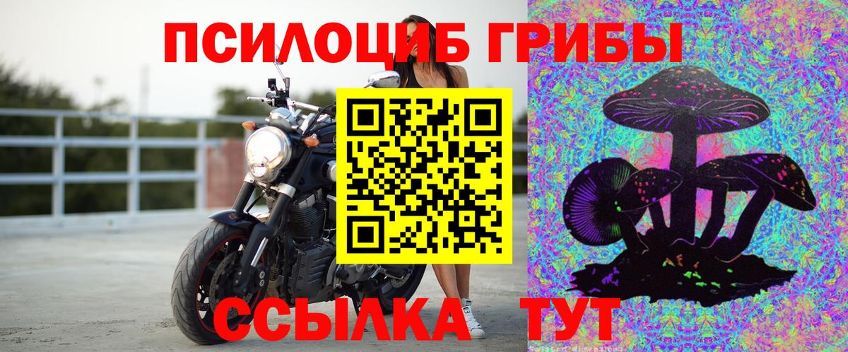 Псилоцибиновые грибы GOLDEN TEACHER Ижевск